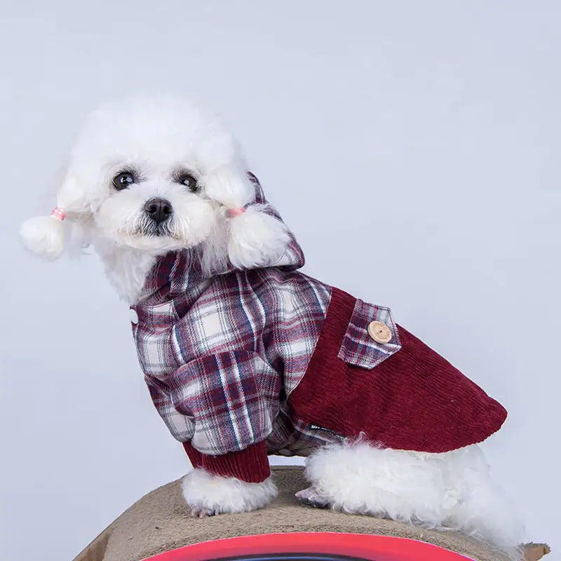 Kindred Paws™ Teddy VIP Pomeranian Cashmere Coat – Small Dog Hoodie