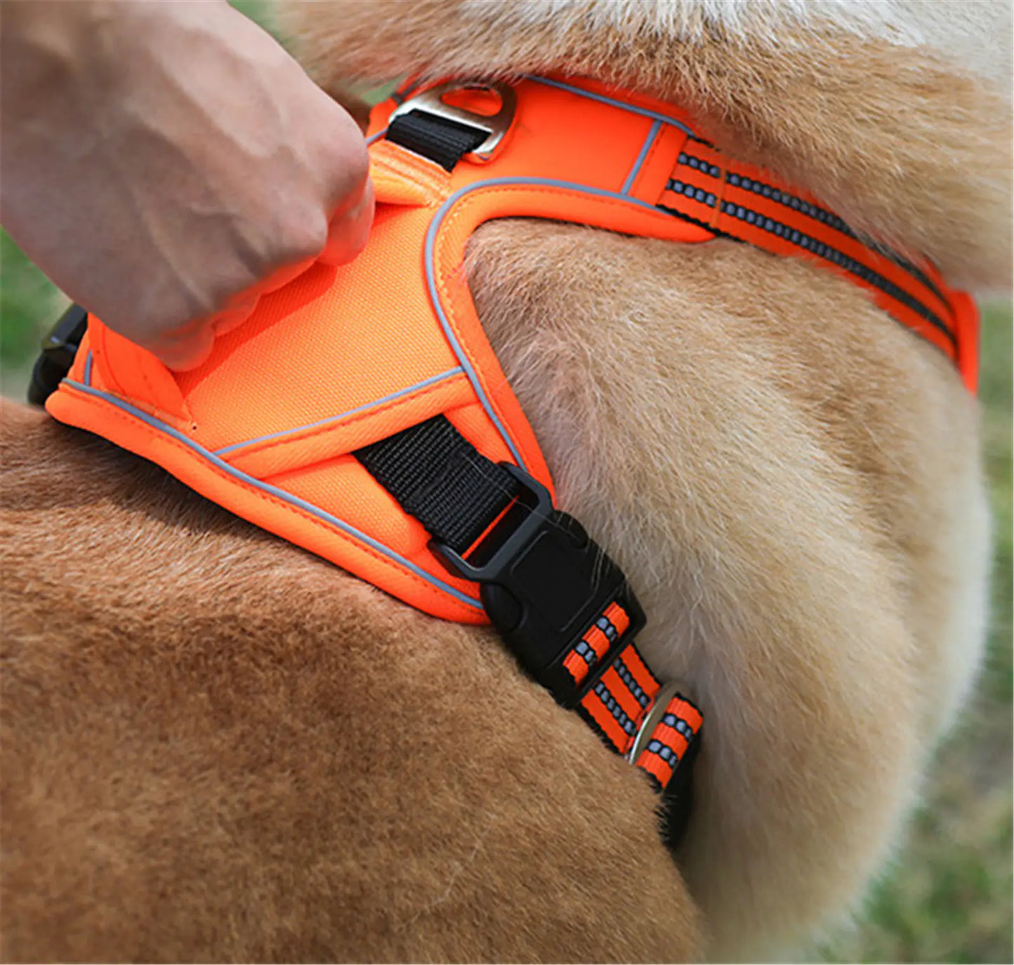 Kindred Paws™ Durable Waterproof Pet Harness – Reflective & Adjustable