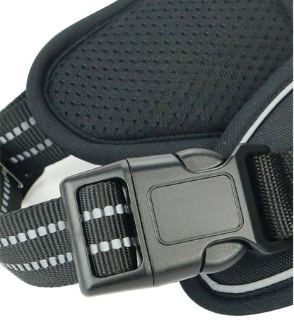 Kindred Paws™ Durable Waterproof Pet Harness – Reflective & Adjustable