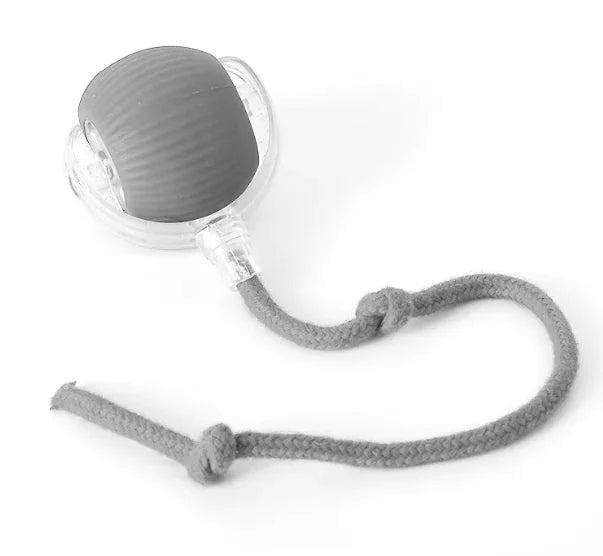 Kindred Paws™ PurrPlay Self-Rolling Cat Toy Ball – Interactive Fun